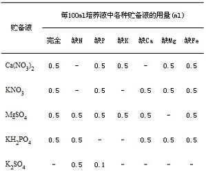 丁香实验推荐阅读