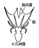 丁香实验推荐阅读