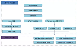 丁香实验推荐阅读