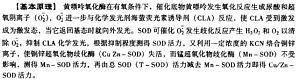 丁香实验推荐阅读