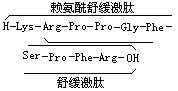 丁香实验推荐阅读