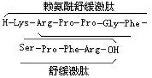 丁香实验推荐阅读