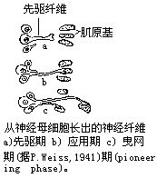 丁香实验推荐阅读