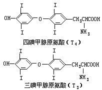 丁香实验推荐阅读