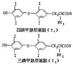 丁香实验推荐阅读