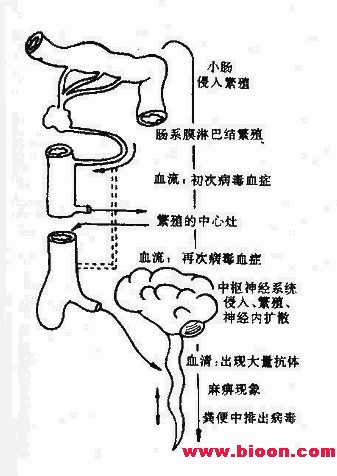 丁香实验推荐阅读