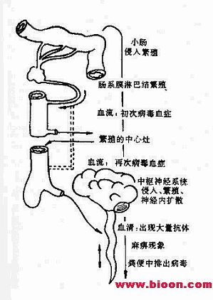 丁香实验推荐阅读