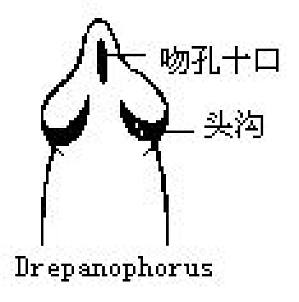 丁香实验推荐阅读