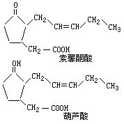 丁香实验推荐阅读