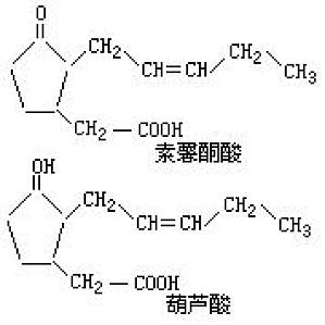 丁香实验推荐阅读