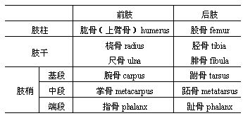 丁香实验推荐阅读