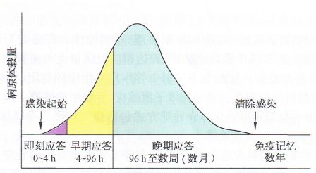 丁香实验推荐阅读