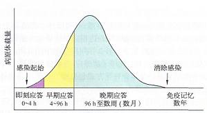 丁香实验推荐阅读