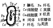 丁香实验推荐阅读