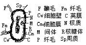丁香实验推荐阅读