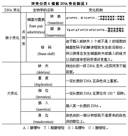 丁香实验推荐阅读