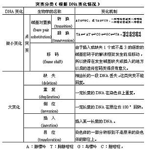 丁香实验推荐阅读