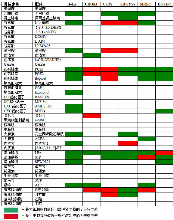 丁香实验推荐阅读