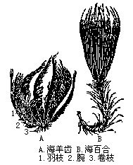 丁香实验推荐阅读