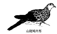 丁香实验推荐阅读