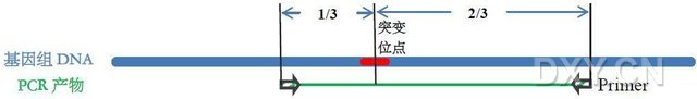 丁香实验推荐阅读