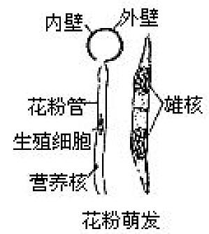 丁香实验推荐阅读