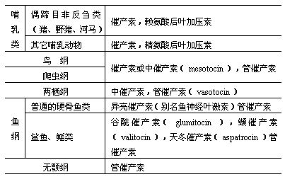 丁香实验推荐阅读