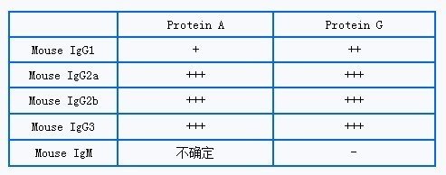 丁香实验推荐阅读