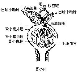 丁香实验推荐阅读