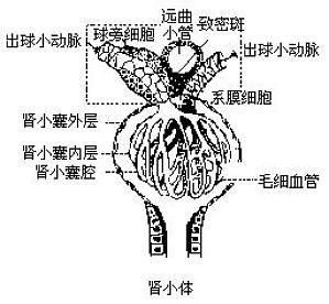 丁香实验推荐阅读