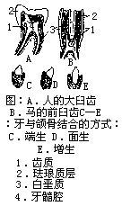 丁香实验推荐阅读