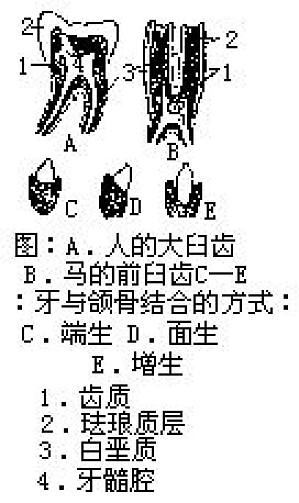 丁香实验推荐阅读
