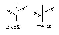 丁香实验推荐阅读