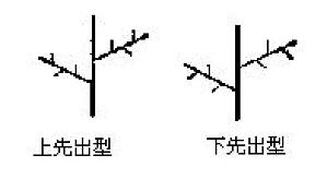丁香实验推荐阅读