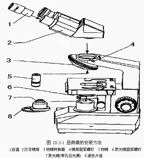 丁香实验推荐阅读