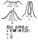 丁香实验推荐阅读