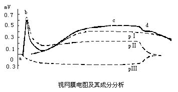 丁香实验推荐阅读