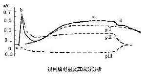 丁香实验推荐阅读