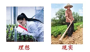 丁香实验推荐阅读