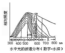 丁香实验推荐阅读