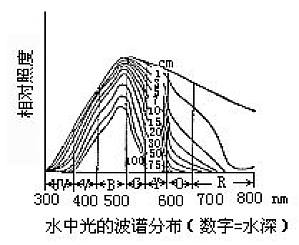 丁香实验推荐阅读
