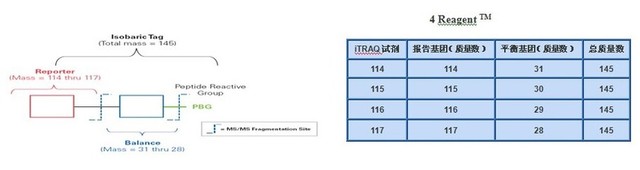 丁香实验推荐阅读