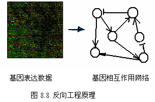 丁香实验推荐阅读