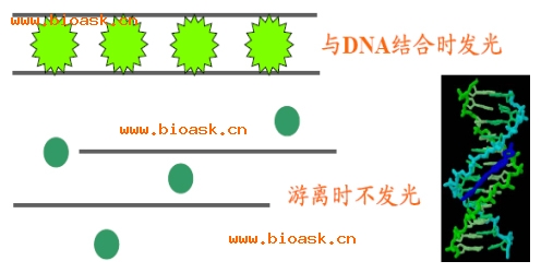 丁香实验推荐阅读