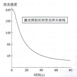 丁香实验推荐阅读