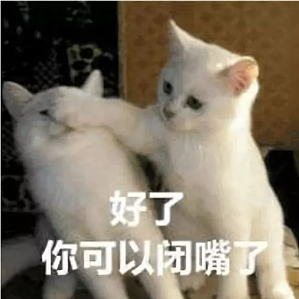 丁香实验推荐阅读