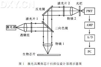 丁香实验推荐阅读