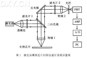 丁香实验推荐阅读