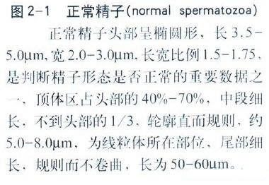 丁香实验推荐阅读