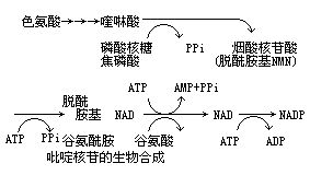 丁香实验推荐阅读